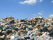 Why One Third of All Food Produced in the World is Wasted