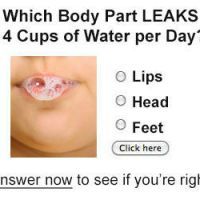 leaksquiz