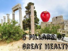 The 6 Pillars of Great Health