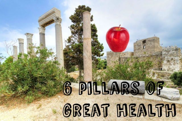 The 6 Pillars of Great Health