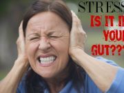 Feeling Anxious? Why Your Gut May be the Reason