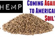 Breaking News: Is Hemp Making a Comeback?