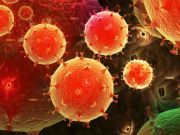 Antibiotic Resistant Bugs: How They Evolve and Why They Spread