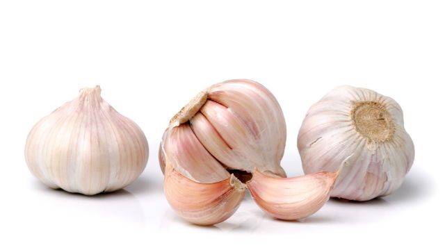 Garlic isolated on white background