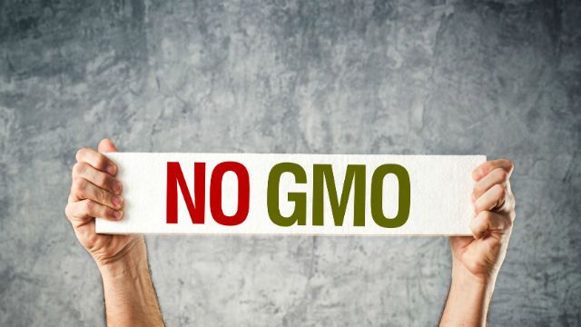 No GMO.