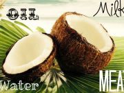 9 Healthy Coconut Combinations: The Most Versatile Seed on the Planet