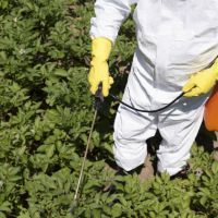 Pesticide spraying