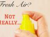 The 3 Stinky Secrets Indoor Air Fresheners are Hiding