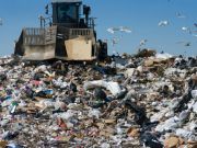 One Third of Our Food Goes Straight to Landfills: How to Curb Waste In Your Home