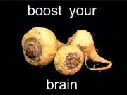 How You Can Improve Muscle Mass and Brain Power with Maca Root