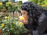 Stop and Smell the Roses…Literally