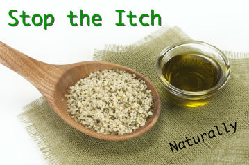 hemp seeds and hemp oil