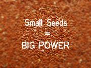 The Big Power of 3 Little Seeds to Support Healthy Digestion