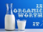 Organic vs. Conventional Milk