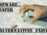 Toxic Bug Killers: More Harm than Good?