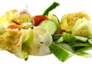 Plant Plastic: A New Way to Reuse Food Scraps
