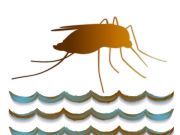 Breaking News: Chikungunya Fever Now In Florida