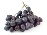 Study: Antioxidants in Grape Seeds and Skins May Help with Cancer and Other Conditions