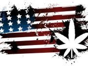 New York On Board with Medicinal Marijuana