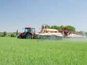 Don’t Ignore the Dangers of Roundup