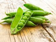 Osteoporosis is Not a Calcium Deficiency: What One Doctor Has to Say
