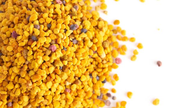 A Pile of Pellets of Yellow Bee Pollen
