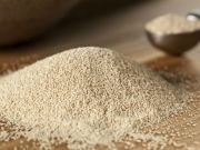 Could GM Baker’s Yeast Be Contributing to Skyrocketing Rates of Obesity and Diabetes?