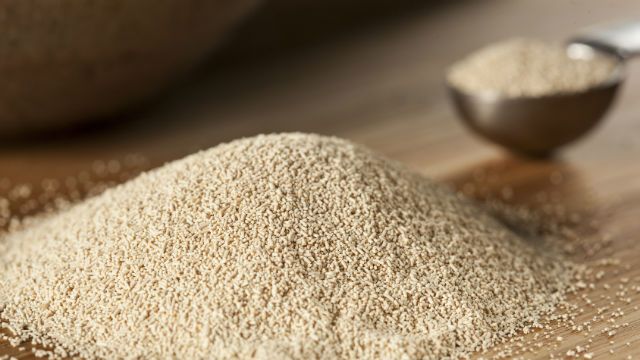 Organic Raw Yeast for baking bread