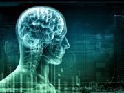 Yale Researchers Find Obesity May be Tackled Via the Brain – But is this a Healthy Idea?