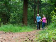 Too Much of a Good Thing May be Harmful for Heart Attack Survivors