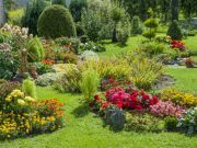 Innovative Technology Transforms Human Waste Into Flourishing Gardens