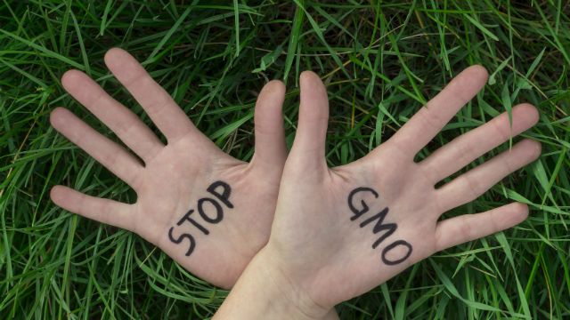 Open hands raised, Stop GMO