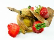 Powering Homes Using Food Wastes and Microbes