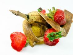 Powering Homes Using Food Wastes and Microbes