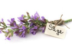 5 DIY Low-Cost Herbal Home Remedies