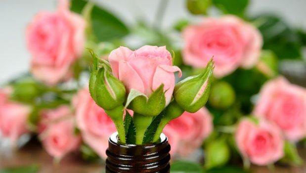 Ancient Oils of Attraction to Boost Your Love Life