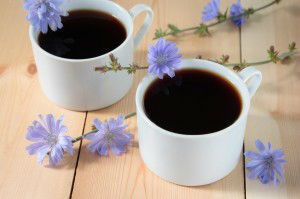Chicory drink in two white cup