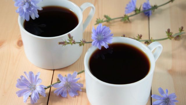 Chicory drink in two white cup