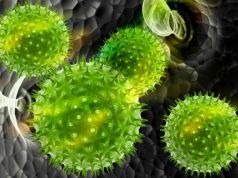 Study Confirms: Our Bacteria Follow Us Wherever We Go