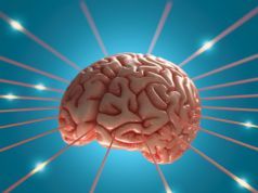 New Study Reveals Mind-Controlling Parasites May Not Be Uncommon