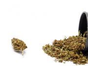 Want to Quit Smoking or Chewing Tobacco? Chew Hemp Instead!
