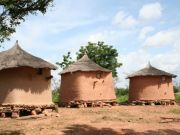 Food Crisis to Follow West Africa’s Ebola Crisis