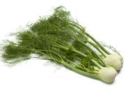 Regulate Blood Pressure and Flush Toxins with Fennel