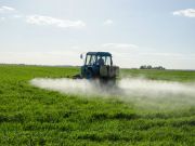 GMO Cultivation Areas in Argentina Linked to Doubled Cancer Rates