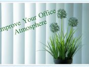 Office Plants Can Improve Your Well-Being