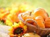 Pumpkin Season is Here: 3 Fun and Delicious Recipes