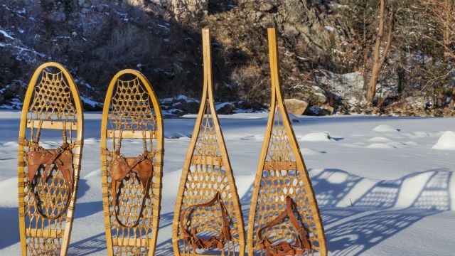 vintage snowshoes