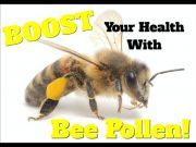 14 Ways Bee Pollen Works to Super Boost Your Health