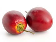 This Little Tree Tomato is Packed with Nutrition