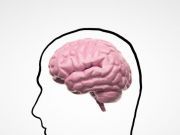 Brain Detox Checklist: What You Need to Know to Reduce Cognitive Clutter